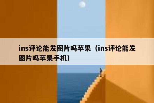 ins评论能发图片吗苹果（ins评论能发图片吗苹果手机） 第1张