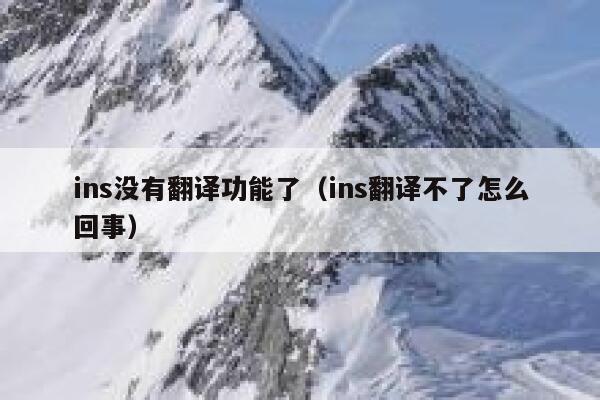 ins没有翻译功能了（ins翻译不了怎么回事） 第1张