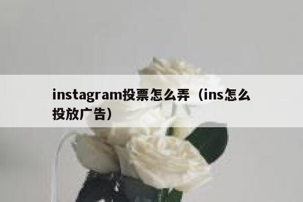 instagram投票怎么弄（ins怎么投放广告） 第1张