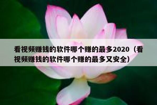 看视频赚钱的软件哪个赚的最多2020（看视频赚钱的软件哪个赚的最多又安全） 第1张