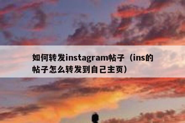 如何转发instagram帖子(ins的帖子怎么转发到自己主页) 第1张 如何转发instagram帖子(ins的帖子怎么转发到自己主页) 第1张