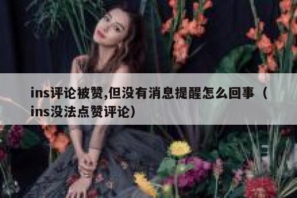 ins评论被赞,但没有消息提醒怎么回事（ins没法点赞评论） 第1张