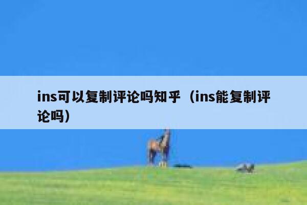 ins可以复制评论吗知乎（ins能复制评论吗） 第1张