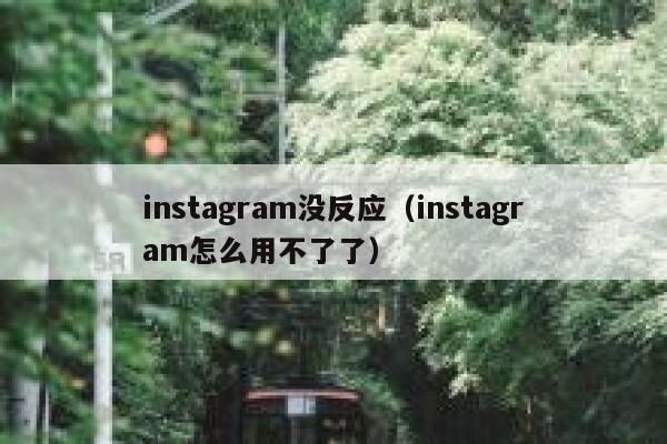 instagram没反应（instagram怎么用不了了） 第1张