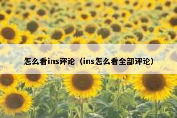 怎么看ins评论(ins怎么看全部评论) 第1张 怎么看ins评论(ins怎么看全部评论) 第1张