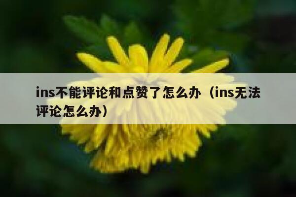 ins不能评论和点赞了怎么办（ins无法评论怎么办） 第1张