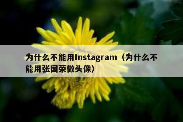 为什么不能用Instagram（为什么不能用张国荣做头像） 第1张