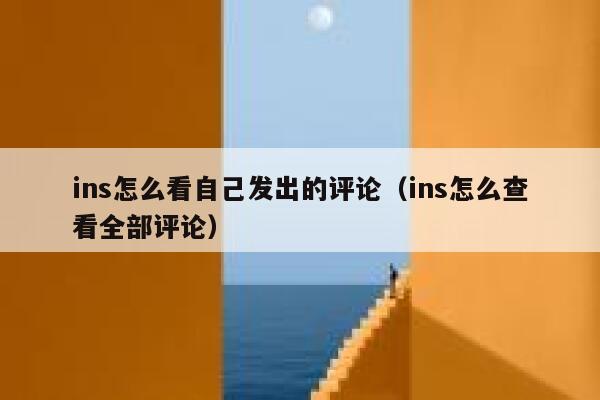 ins怎么看自己发出的评论(ins怎么查看全部评论) 第1张 ins怎么看自己发出的评论(ins怎么查看全部评论) 第1张