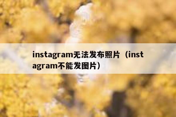 instagram无法发布照片（instagram不能发图片） 第1张