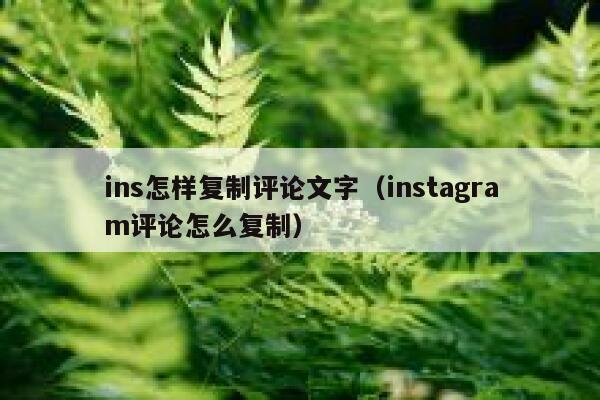 ins怎样复制评论文字(instagram评论怎么复制) 第1张 ins怎样复制评论文字(instagram评论怎么复制) 第1张