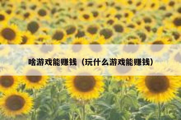 啥游戏能赚钱（玩什么游戏能赚钱） 第1张
