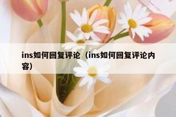 ins如何回复评论（ins如何回复评论内容） 第1张