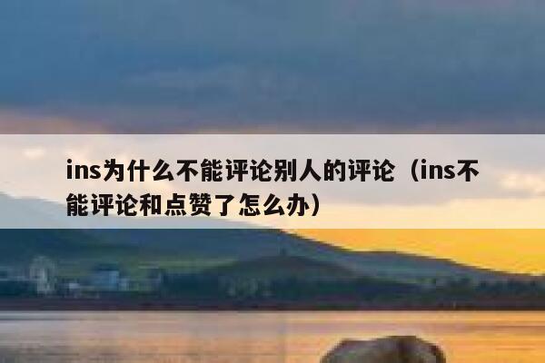 ins为什么不能评论别人的评论（ins不能评论和点赞了怎么办） 第1张