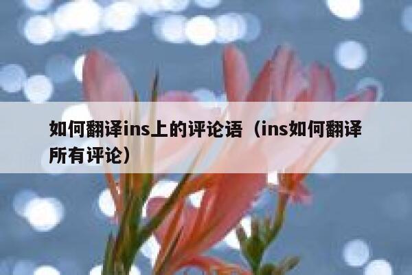 如何翻译ins上的评论语（ins如何翻译所有评论） 第1张