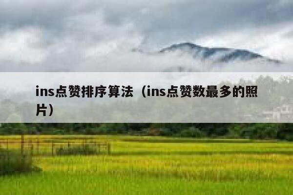 ins点赞排序算法（ins点赞数最多的照片） 第1张