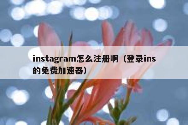 instagram怎么注册啊（登录ins的免费加速器） 第1张