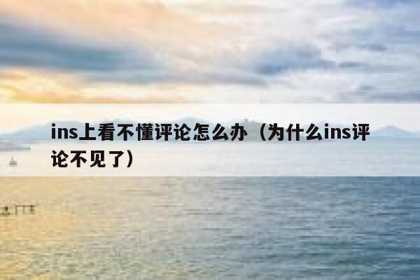 ins上看不懂评论怎么办（为什么ins评论不见了） 第1张