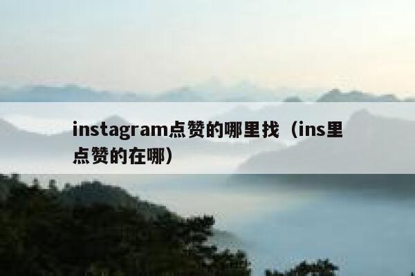 instagram点赞的哪里找（ins里点赞的在哪） 第1张