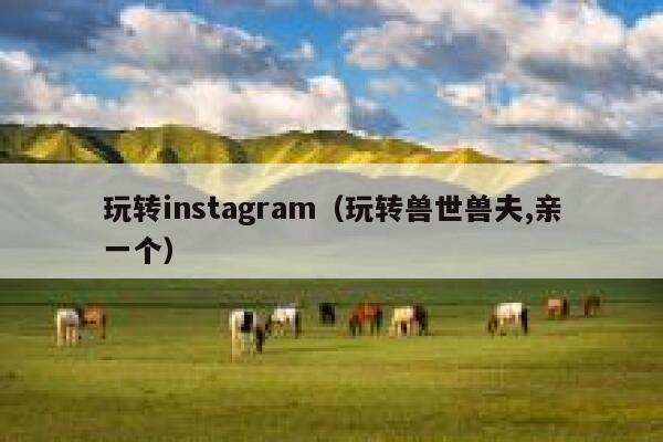 玩转instagram（玩转兽世兽夫,亲一个） 第1张
