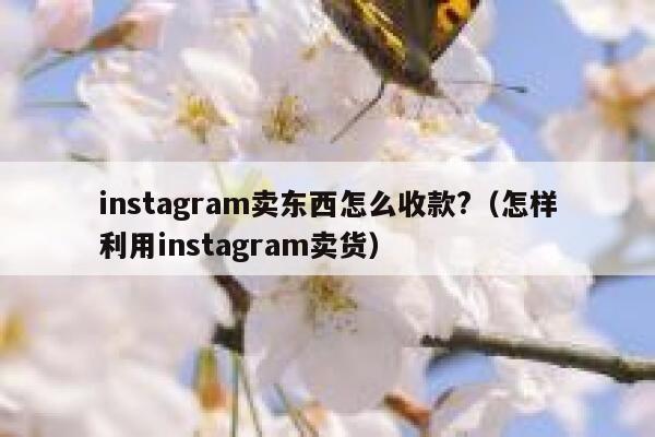 instagram卖东西怎么收款?（怎样利用instagram卖货） 第1张