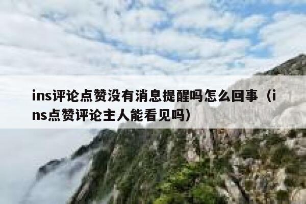 ins评论点赞没有消息提醒吗怎么回事（ins点赞评论主人能看见吗） 第1张