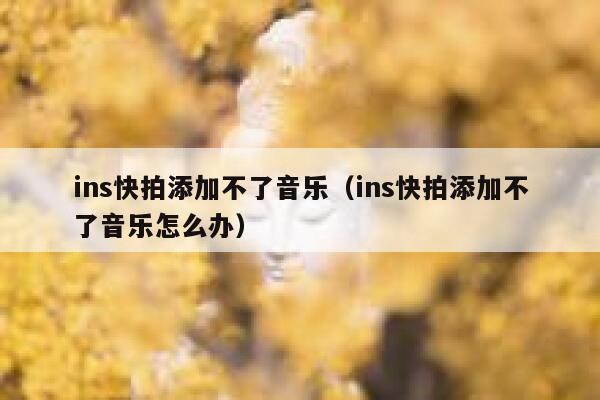 ins快拍添加不了音乐（ins快拍添加不了音乐怎么办） 第1张