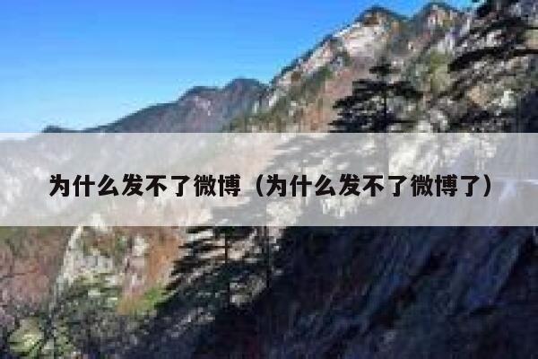 为什么发不了微博（为什么发不了微博了） 第1张