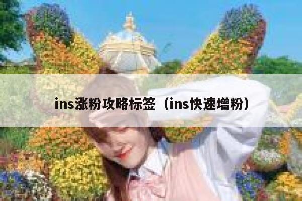 ins涨粉攻略标签（ins快速增粉） 第1张