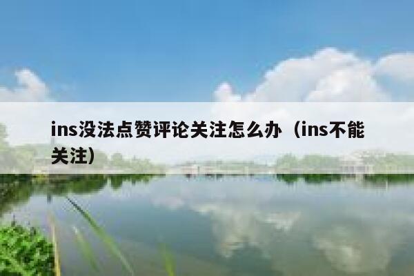 ins没法点赞评论关注怎么办（ins不能关注） 第1张