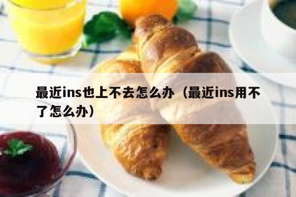 最近ins也上不去怎么办（最近ins用不了怎么办） 第1张