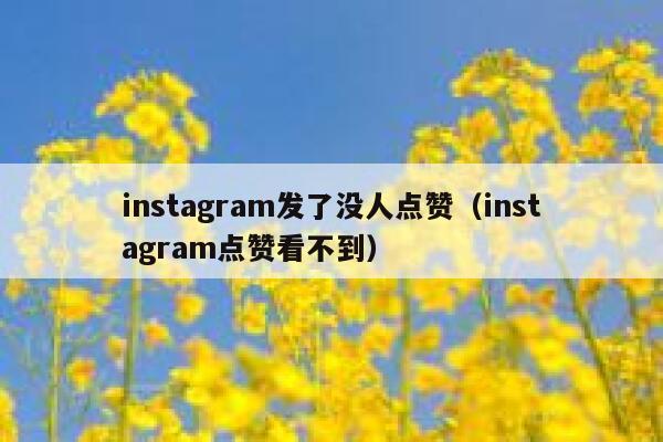 instagram发了没人点赞（instagram点赞看不到） 第1张