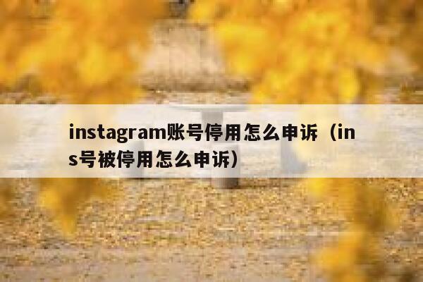instagram账号停用怎么申诉（ins号被停用怎么申诉） 第1张