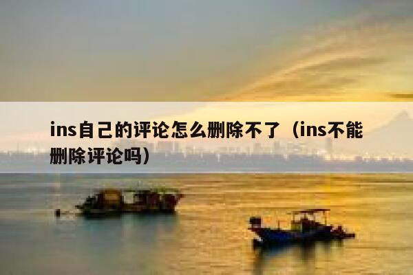 ins自己的评论怎么删除不了（ins不能删除评论吗） 第1张