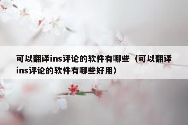 可以翻译ins评论的软件有哪些（可以翻译ins评论的软件有哪些好用） 第1张