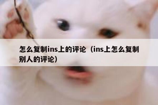 怎么复制ins上的评论（ins上怎么复制别人的评论） 第1张