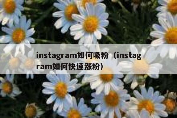 instagram如何吸粉（instagram如何快速涨粉） 第1张