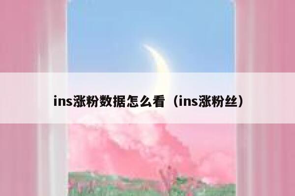 ins涨粉数据怎么看（ins涨粉丝） 第1张
