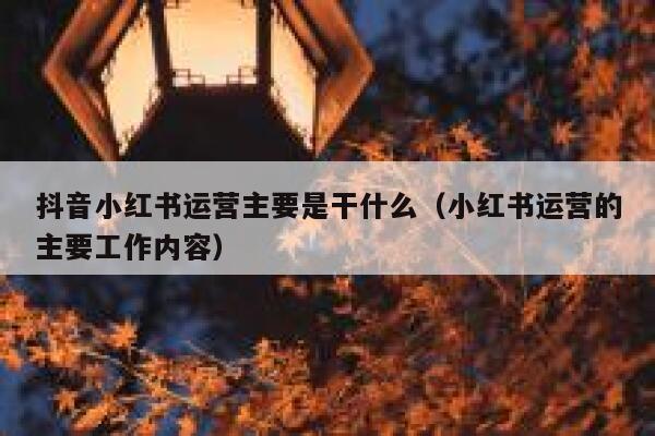 抖音小红书运营主要是干什么(小红书运营的主要工作内容) 第1张 抖音小红书运营主要是干什么(小红书运营的主要工作内容) 第1张