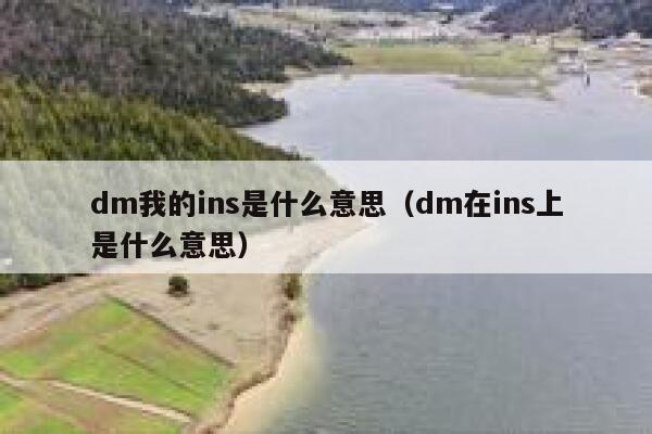 dm我的ins是什么意思（dm在ins上是什么意思） 第1张