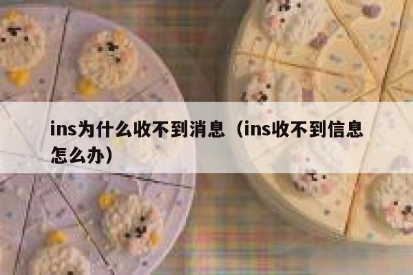 ins为什么收不到消息（ins收不到信息怎么办） 第1张