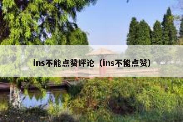 ins不能点赞评论（ins不能点赞） 第1张