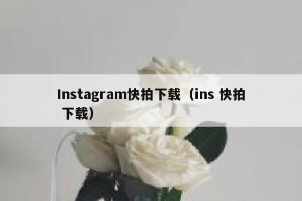 Instagram快拍下载（ins 快拍 下载） 第1张