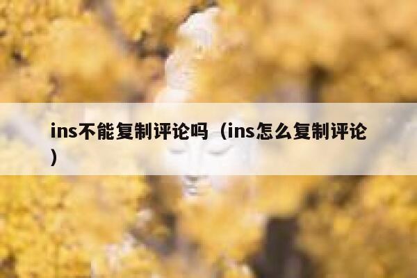 ins不能复制评论吗（ins怎么复制评论） 第1张