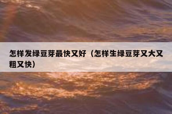 怎样发绿豆芽最快又好（怎样生绿豆芽又大又粗又快） 第1张