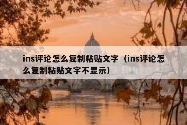 ins评论怎么复制粘贴文字（ins评论怎么复制粘贴文字不显示） 第1张