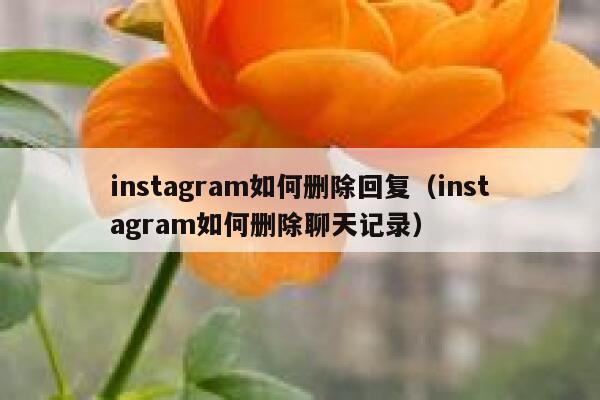 instagram如何删除回复（instagram如何删除聊天记录） 第1张