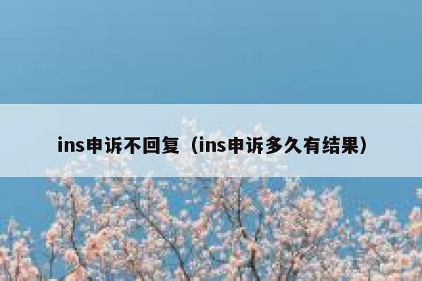 ins申诉不回复（ins申诉多久有结果） 第1张