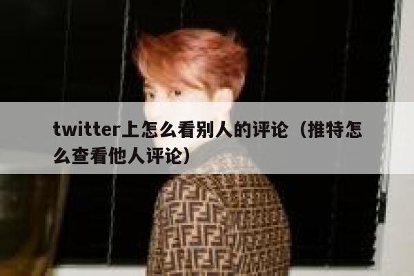 twitter上怎么看别人的评论（推特怎么查看他人评论） 第1张