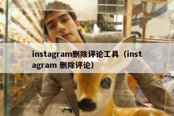 instagram删除评论工具（instagram 删除评论） 第1张