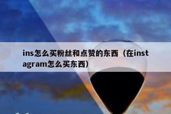 ins怎么买粉丝和点赞的东西（在instagram怎么买东西） 第1张